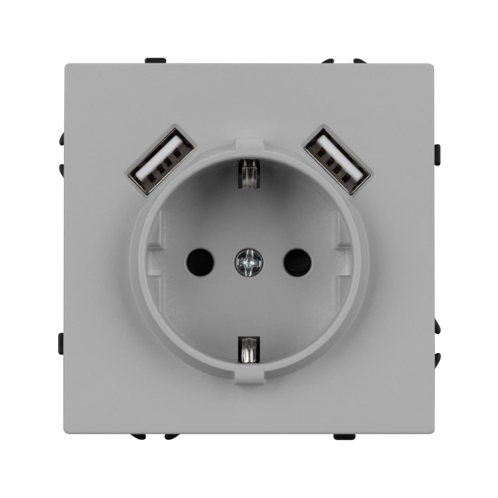 Механизм розетки с USB зарядкой SCT-NOBE-MUAA-SFPL-IS (230V, 16A)  (Arlight, Никель) 059443 - Viokon.com