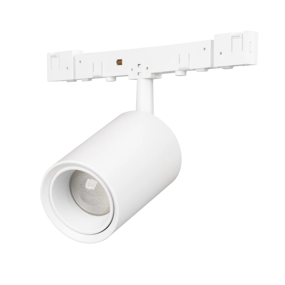 Светильник MAG-MICROCOSM-SPOT-ZOOM-R30-2W Day4000 (WH, 15-45 deg, 24V) (Arlight, IP20 Металл, 5 лет) 051803 - Viokon.com