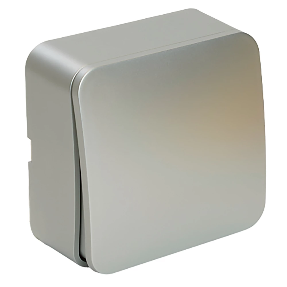 Выключатель открытой установки 1-клавишный, STEKKER, 250В, 10А, IP20, серия София, серебро, MSW10-10-03 (49295) - Viokon.com