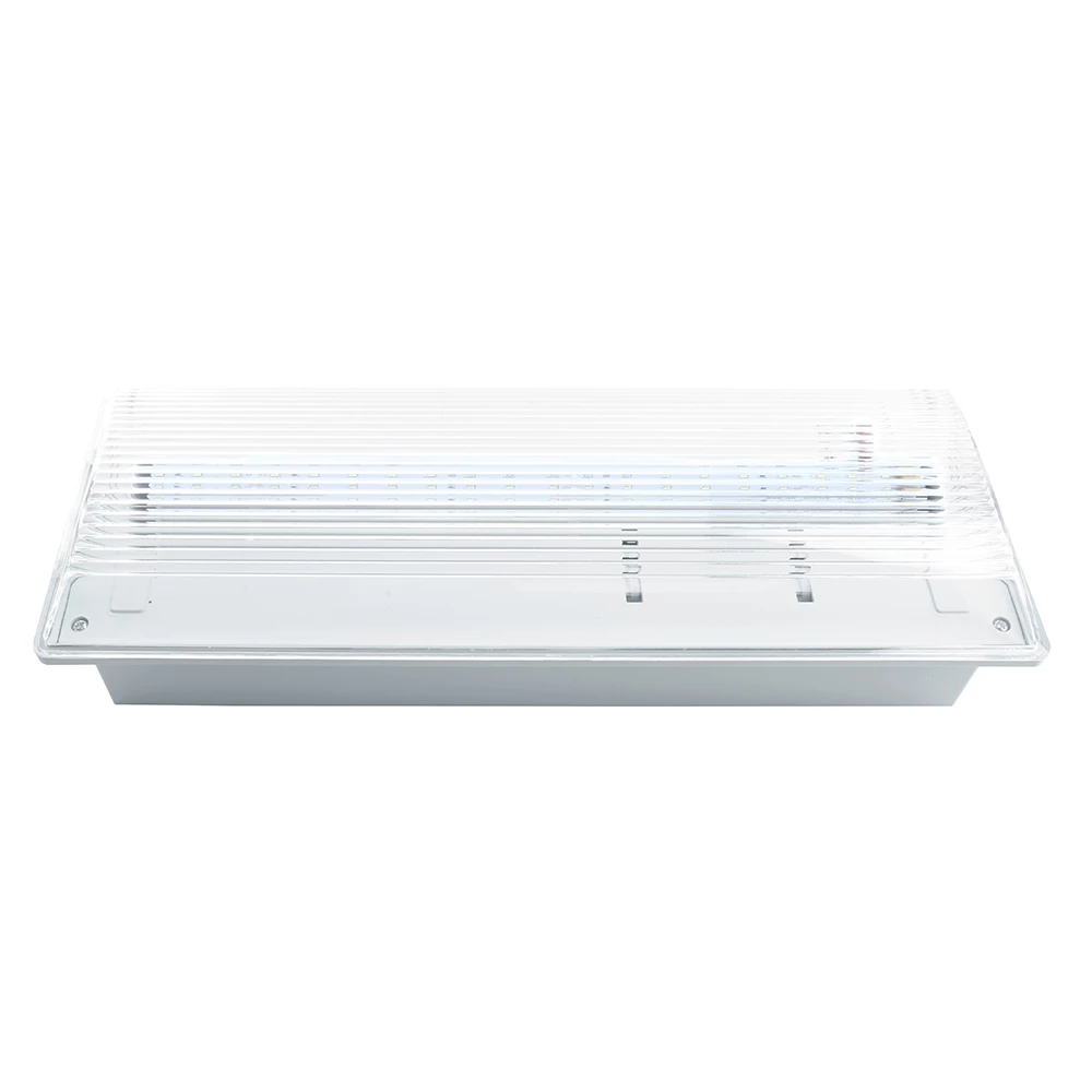 Светильник аварийный, 20 LED AC/DC, белый, EM100 (41535) - Viokon.com