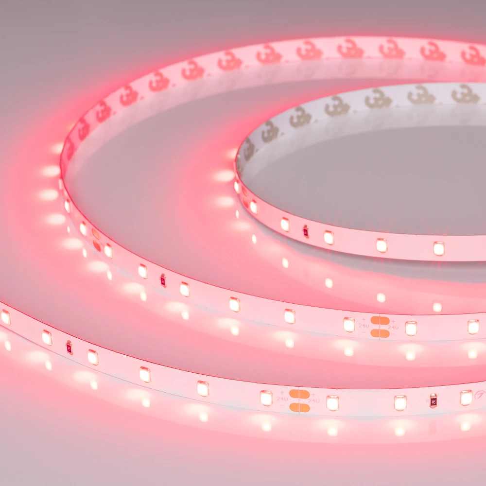 Лента RT-A60-8mm 24V Ruby (4.8 W/m, IP20, 5m) (Arlight, -) 055374 - Viokon.com
