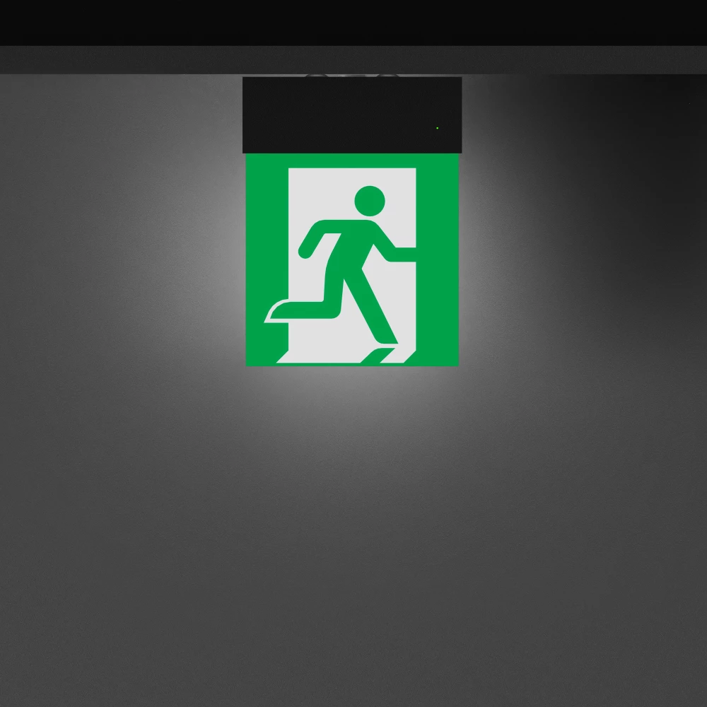 Световой указатель EMG-MARK-S-3H-BK (Arlight, IP40 Металл, 5 лет) 059801 - Viokon.com