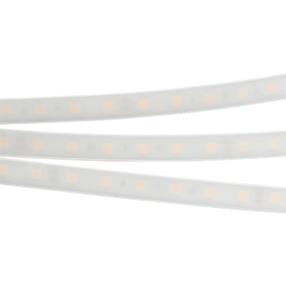 Лента герметичная RTW-PW-B60-13mm 24V Day4000 (14.4 W/m, IP66, 5060, 5m) (Arlight, -) 016181(2) - Viokon.com