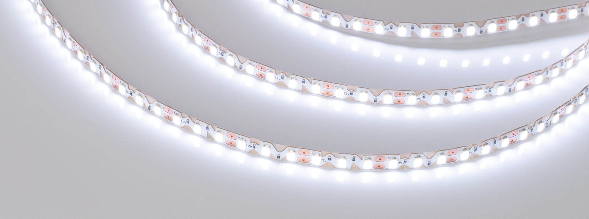 Лента RZ-A120-6mm 12V Cool 8K (12 W/m, IP20, 2835, 5m) (Arlight, 12 Вт/м, IP20) 036453 - Viokon.com