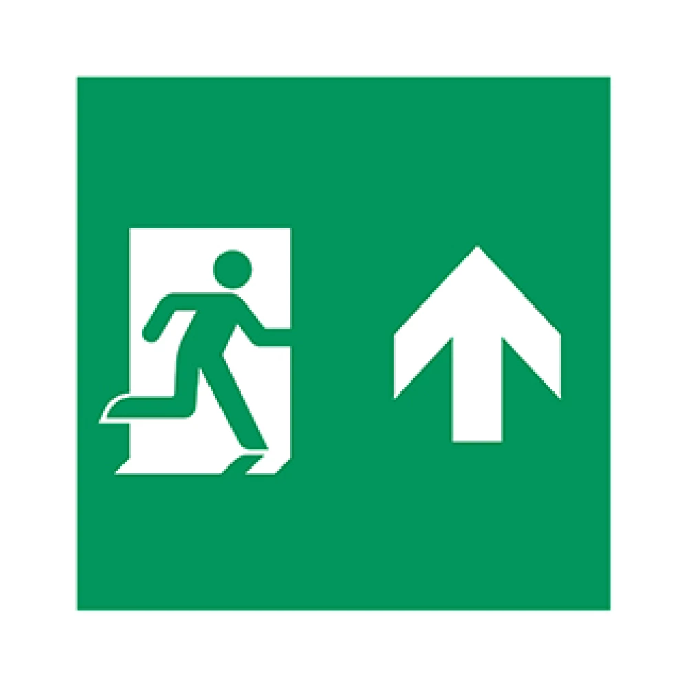 Пиктограмма EMGP-MARK-MA-UP (Человек, Вверх) (Arlight, Пластик) 059834 - Viokon.com