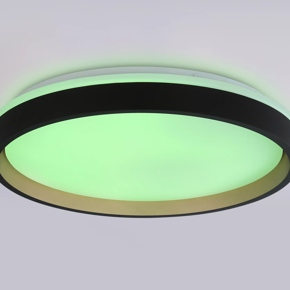 Светодиодный светильник RGB с пультом управления FZ610 BK/GD черный/золото IP20 66W 3000K-6500K+RGB D490*85 (ПДУ ИК) - Viokon.com