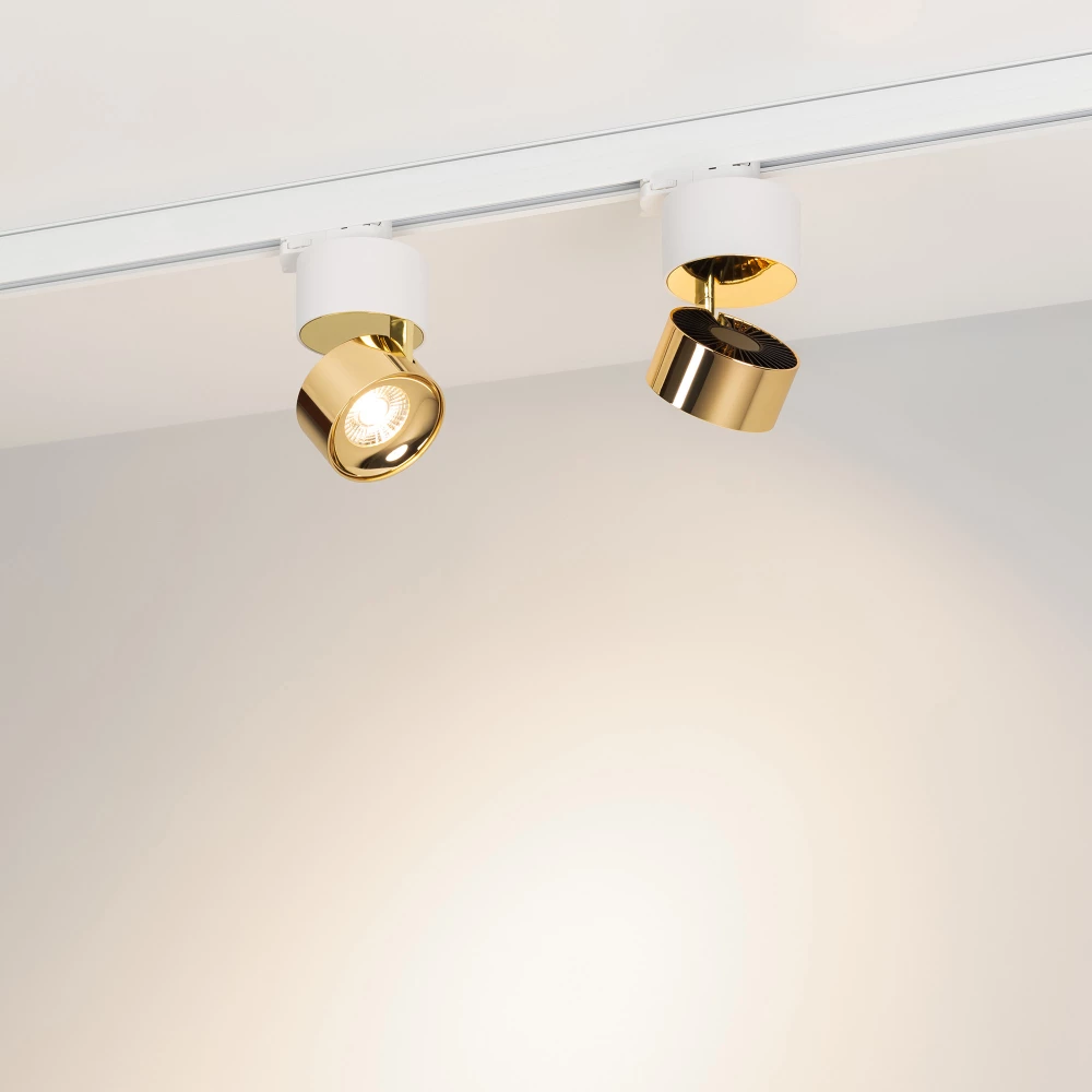 Светильник SP-PLURIO-TRACK-4TR-R77-9W Day4000 (WH-BRS, 36 deg, 230V) (Arlight, IP20 Металл, 3 года) 038100 - Viokon.com