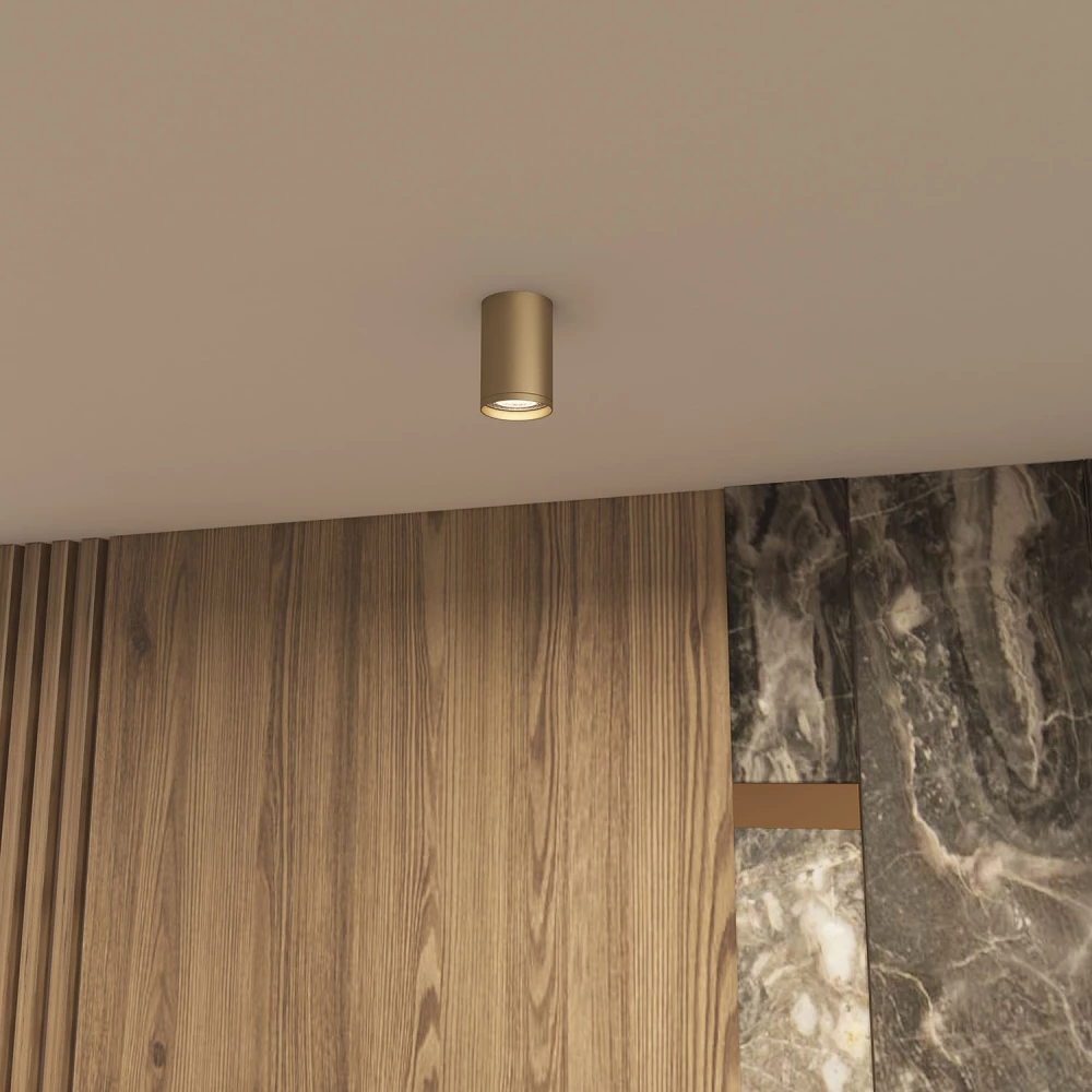 DK2050-SG Накладной светильник IP 20 15 Вт GU53 матовое золото алюминий - Viokon.com