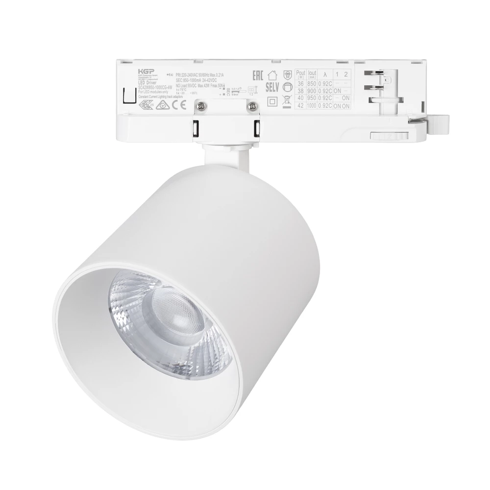 Светильник LGD-DYKE-4TR-R100-36W Day4000 (WH, 38 deg, 230V) (Arlight, IP20 Металл, 5 лет) 052290 - Viokon.com