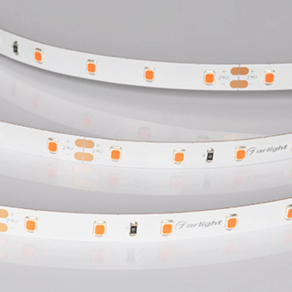 Лента RT-A60-8mm 24V Ruby (4.8 W/m, IP20, 5m) (Arlight, -) 055374 - Viokon.com