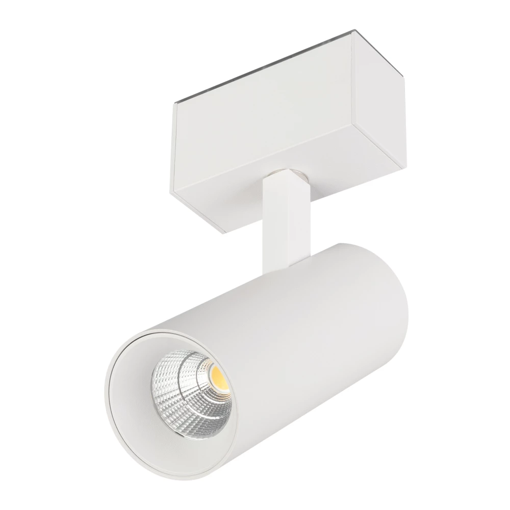 Светильник MAG-SPOT-45-R85-12W Day4000 (WH, 36 deg, 24V, DALI) (Arlight, IP20 Металл, 5 лет) 046590 - Viokon.com