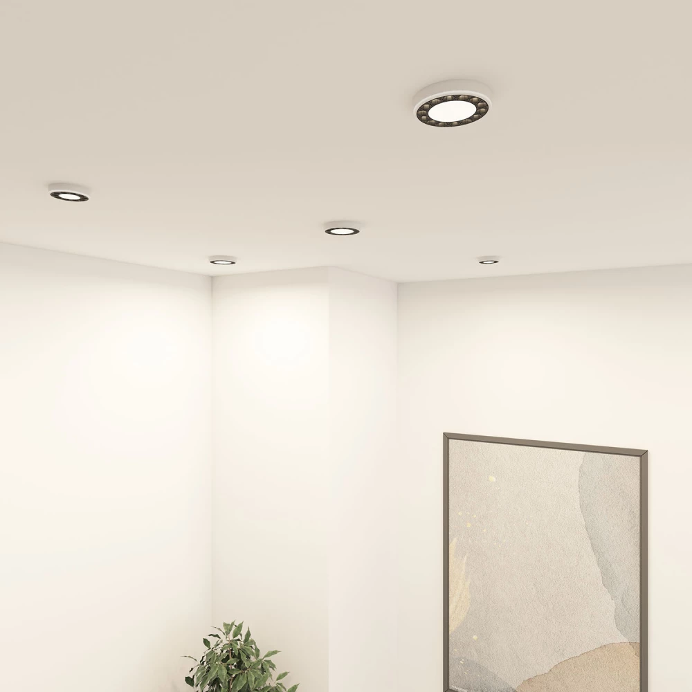 DK2441-WB Встраиваемый светильник DUAL 99 Вт LED 4000K IP 20 d120mm белыйчерный алюминийакрил - Viokon.com