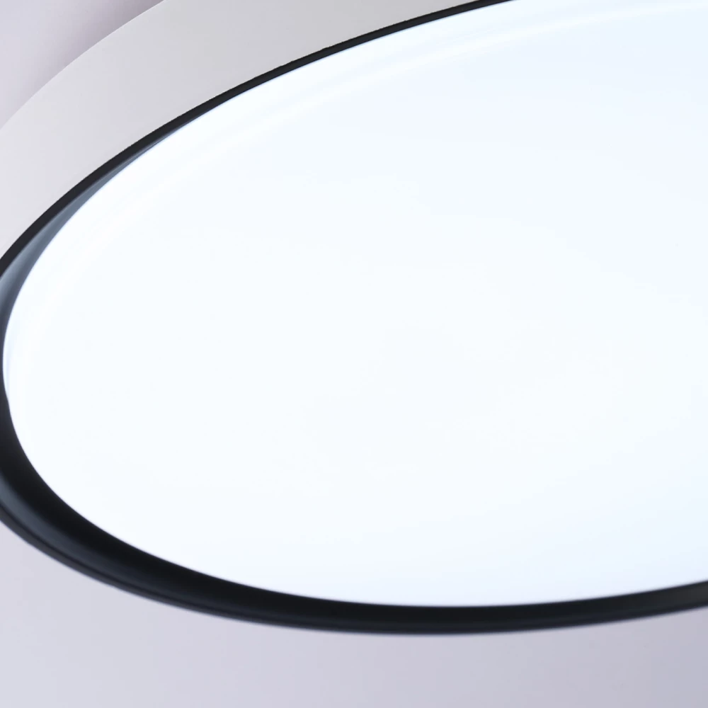 Потолочный светодиодный светильник с высокой степенью защиты IP54 FZ1247 WH/BK белый/черный IP54 20W 5000K D300*60 (Без ПДУ) - Viokon.com