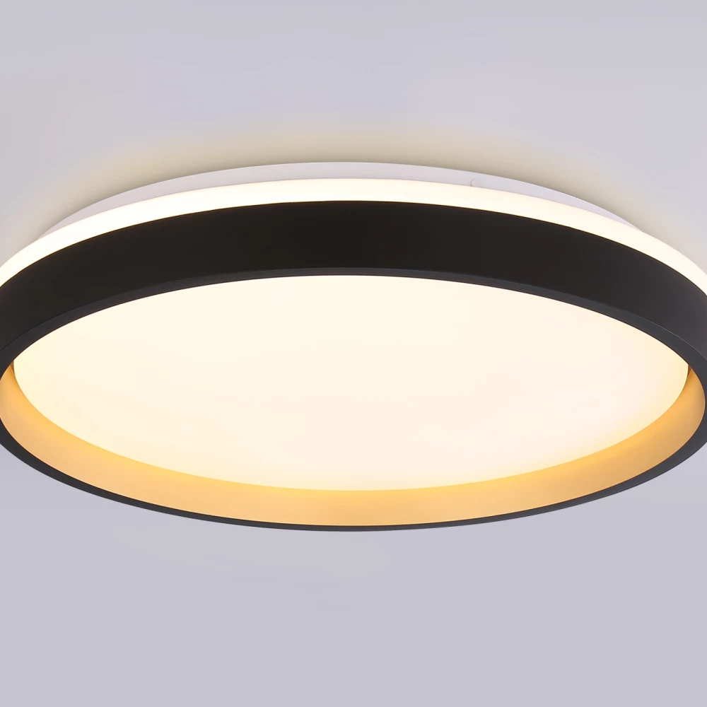 Светодиодный светильник RGB с пультом управления FZ610 BK/GD черный/золото IP20 66W 3000K-6500K+RGB D490*85 (ПДУ ИК) - Viokon.com