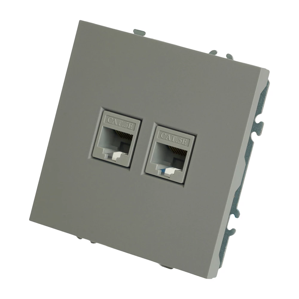 Розетка компьютерная 2-местная RJ-45 (механизм), STEKKER, серия Эмили, RST00-5111-10, платиново-серый, soft touch (49952) - Viokon.com