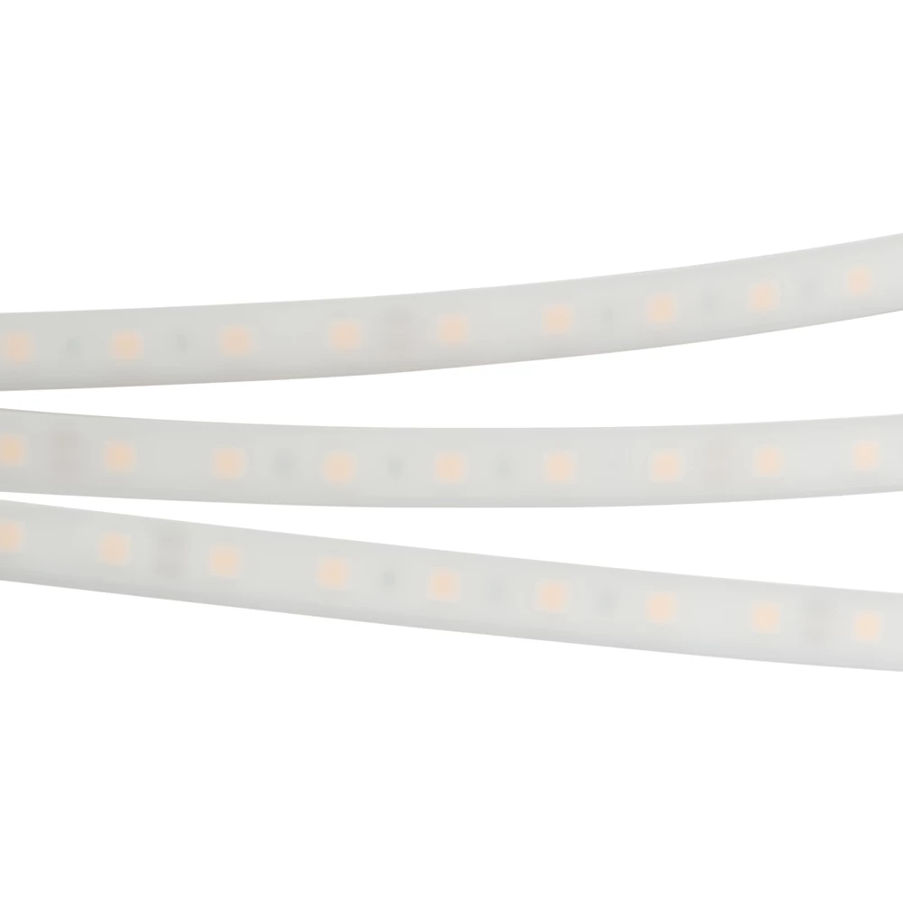 Лента герметичная RTW-PW-B60-13mm 24V Day4000 (14.4 W/m, IP66, 5060, 5m) (Arlight, -) 016181(2) - Viokon.com