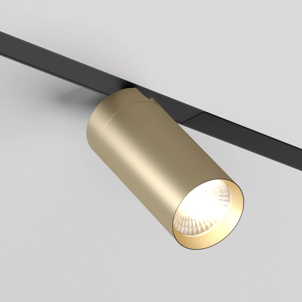 DK8010-BG Акцентный светильник SMART SPOT 9W DIM 3000K-6000K матовое золото с черным - Viokon.com